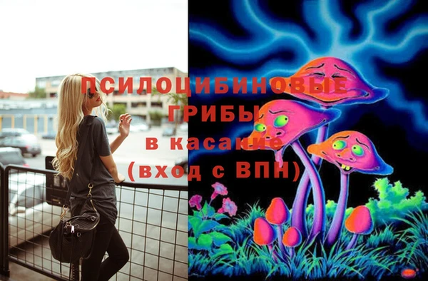 эйфоретик Покров