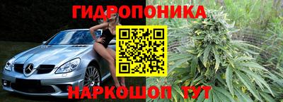 PSILOCYBIN Аргун