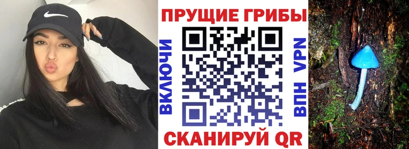 где продают   Богородицк  Галлюциногенные грибы MAGIC MUSHROOMS 