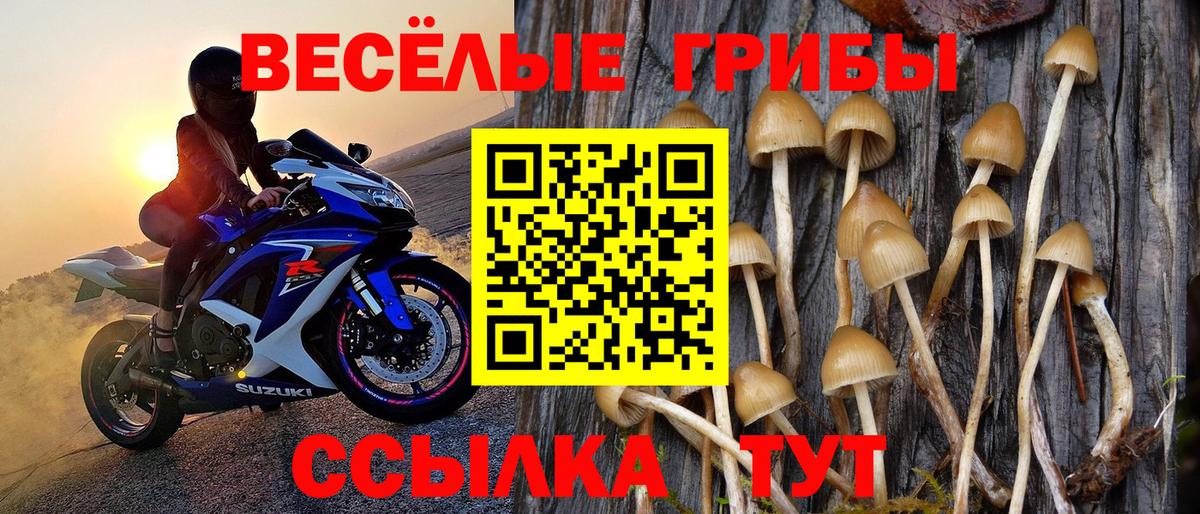 Псилоцибиновые грибы MAGIC MUSHROOMS Богородицк