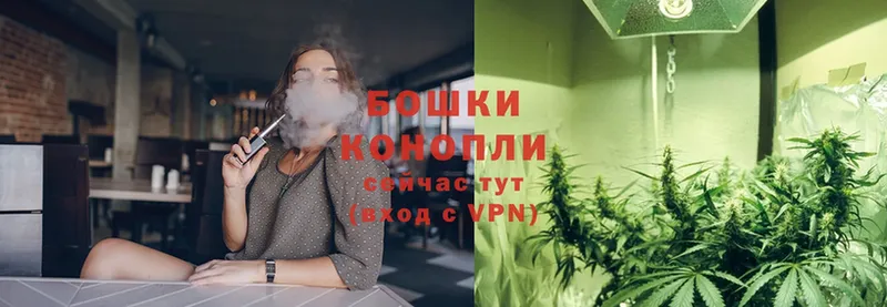 Бошки Шишки THC 21%  Богородицк 